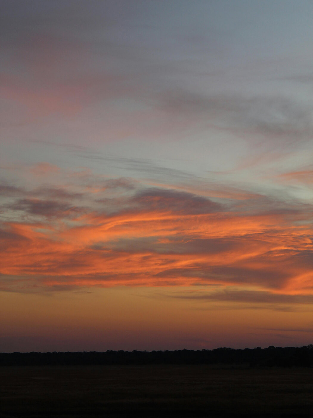 A landscape view of a sunset with wispy orange, pink, and purple clouds spread across the sky above a dark, flat horizon.