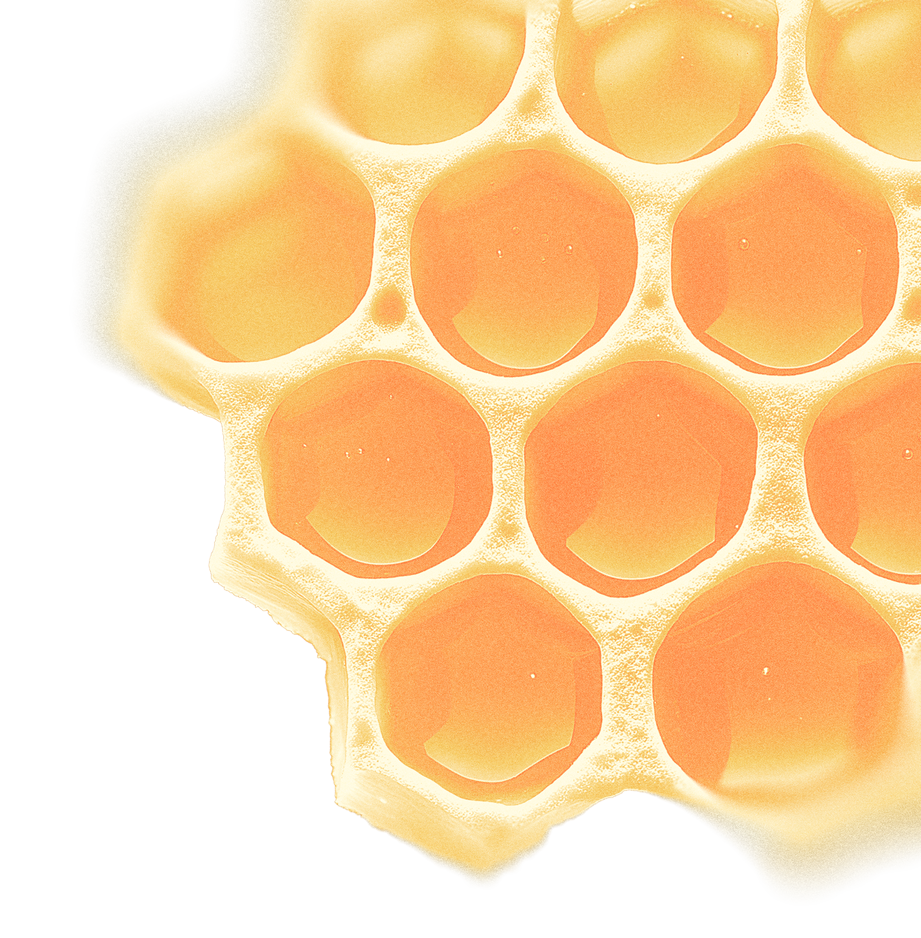 Close-up of a honeycomb section with hexagonal cells filled with golden honey. The honeycomb has a translucent, amber appearance with a glossy texture, showcasing intricate patterns of hexagon shapes.