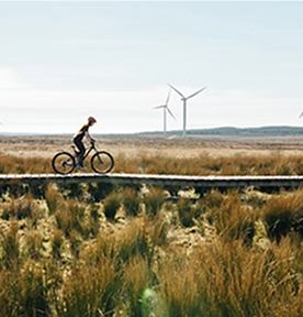 A person rides a bicycle along a path through a grassy field with multiple wind turbines in the background under a clear blue sky.