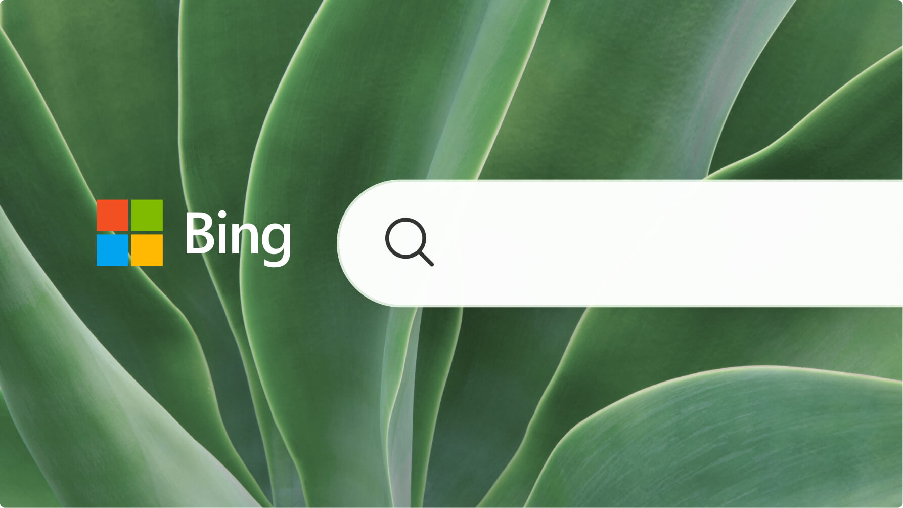 Bing search bar displayed over a close-up background of green succulent plant leaves, with the Bing logo on the left and a magnifying glass search icon inside the bar.