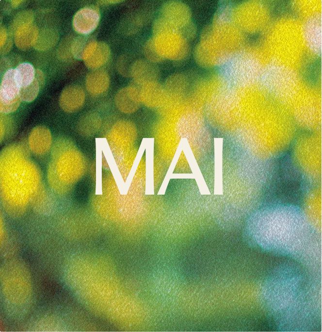 Blurry background of green and yellow bokeh resembling sunlight through leaves, with the word "MAI" in bold white letters centered in the image.