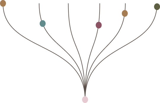 A simple diagram with six curved lines, each leading from a colored circle at the top (in different colors) down to a single pink circle at the bottom center, all lines converging at the pink circle.