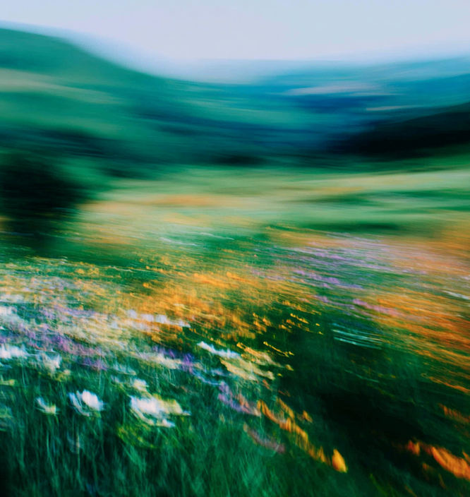 A blurred, vibrant landscape featuring a field of wildflowers in various colors with rolling green hills in the background and a soft blue sky above.