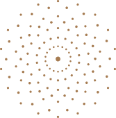 A pattern of brown dots arranged in concentric circles on a light background, with a larger dot at the center and smaller dots evenly spaced outward.
