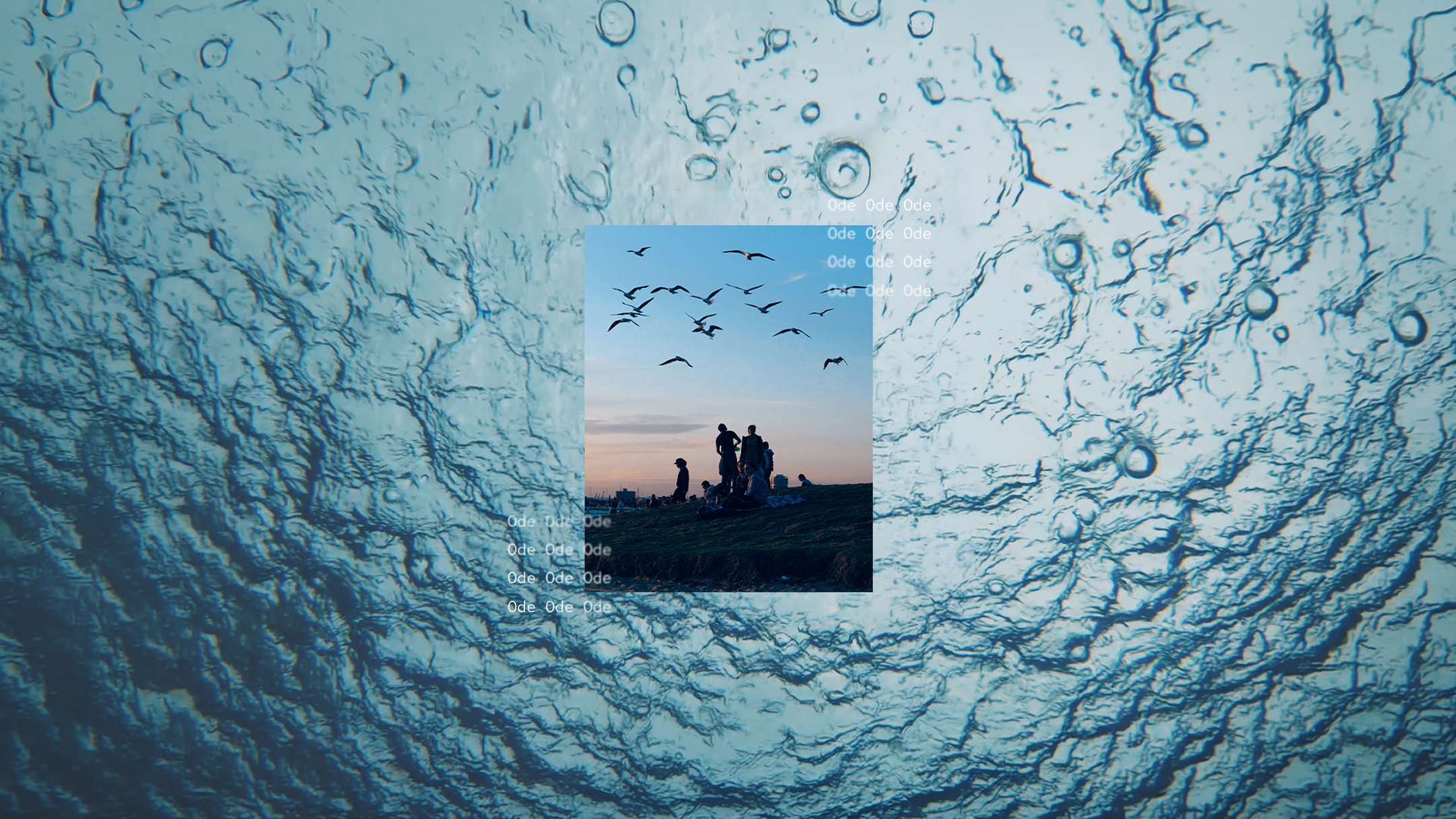 A square photo of silhouetted people and birds at sunset sits over a blue underwater background with bubbles and ripples. White text appears on the right and below the inner image.